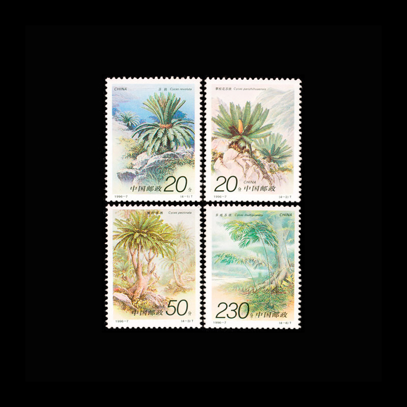 Vintage Collectible Stamps - แสตมป์พืชไซคาสจีน วินเทจ ปี 1996 ชุด 4