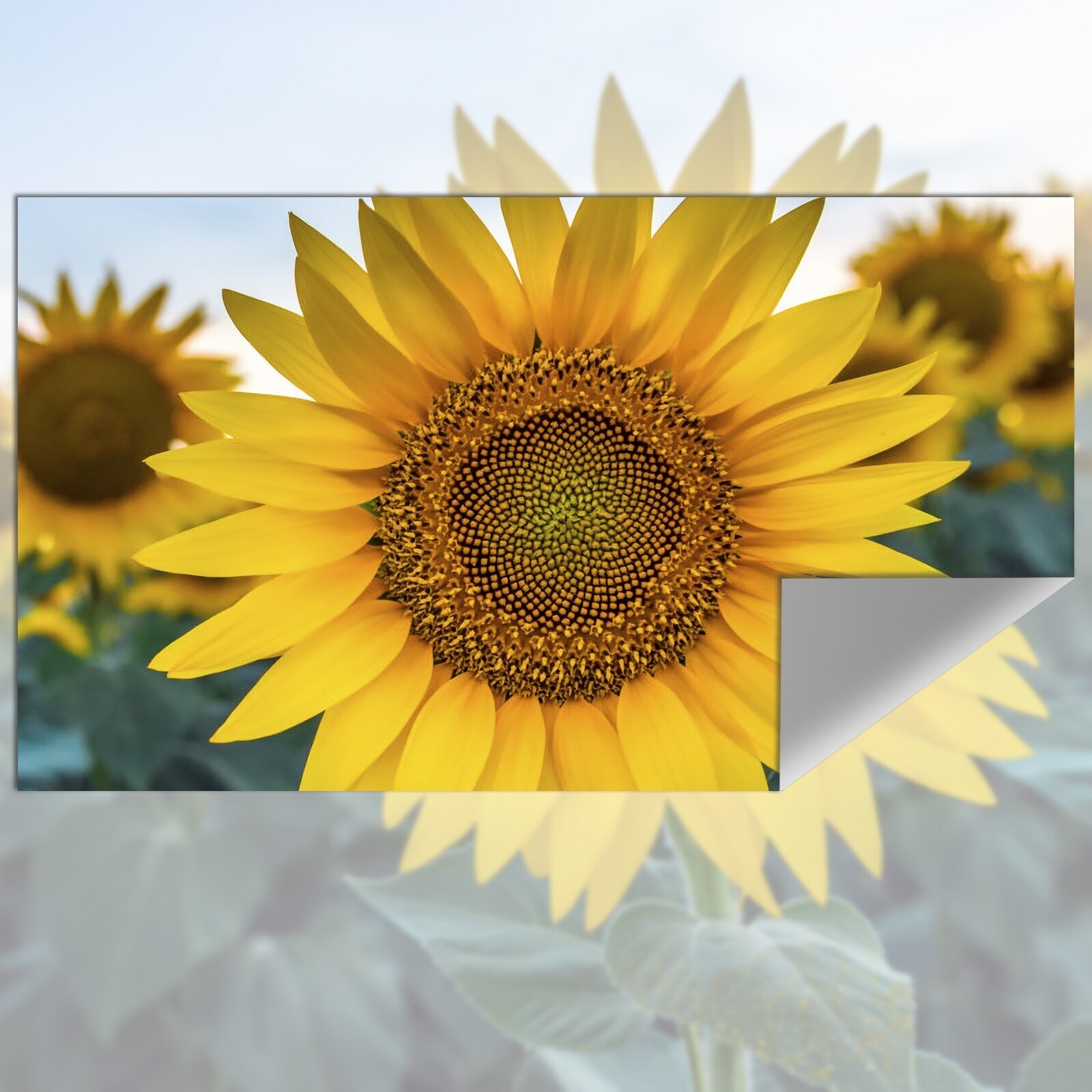 ผ้าสะท้อนแสงสำหรับฉายภาพความสว - Slide Film 120 บทวิจารณ์และราคา